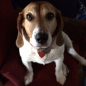 Meet your Posher, Ed